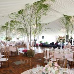 View More: http://aaronsnowphotography.pass.us/colleenandmichael