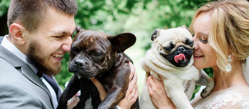 5 Ways to Involve Your pet in Your Wedding
